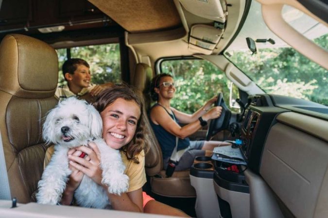 Une famille joyeuse et leur chien en plein road-trip à bord d'un véhicule spacieux.
